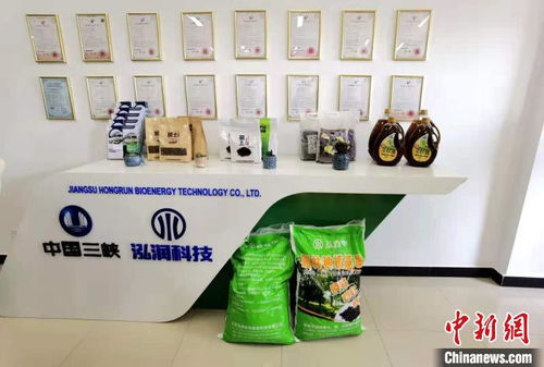 科技賦能長(zhǎng)江生態(tài)修復(fù) 岸上綠意盎然，水中碧波重現(xiàn)