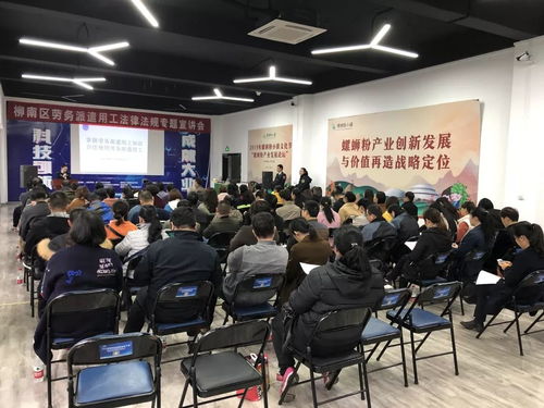 柳南區(qū)舉辦勞務(wù)派遣用工法律法規(guī)專題宣講會(huì)，助力互聯(lián)網(wǎng)信息服務(wù)行業(yè)規(guī)范發(fā)展