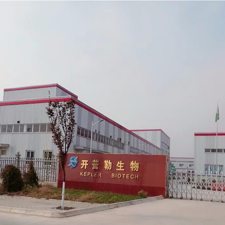 橄欖葉提取物 保健品與化妝品中的天然瑰寶，橄欖苦甙現貨包郵來襲